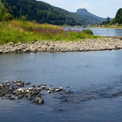 Niedrig-Wasserstand Elbe Sommer 2018 - (c) HanneVoltmerD